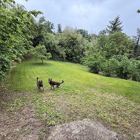 Bnb Dog And Friend Rocchetta Tanaro Bagian luar foto