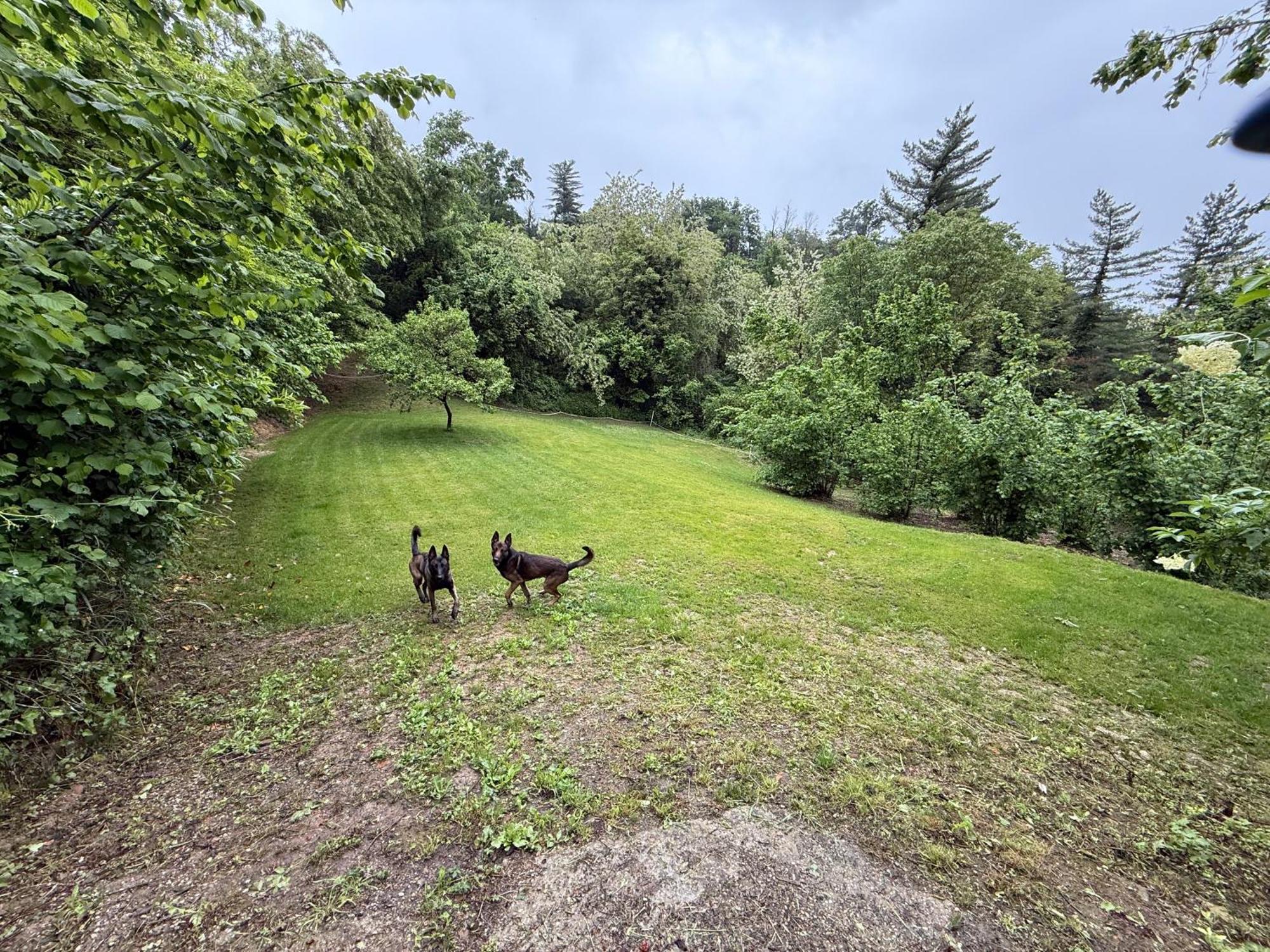 Bnb Dog And Friend Rocchetta Tanaro Bagian luar foto